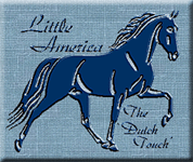 Little America is your European source for naturally gaited, sweet-tempered Tennessee Walking Horses with World Champion and very old bloodlines.  Standing Tennessee Walking Horse stallions, POSTMARK DELIGHT, BUSTER'S FAIR LEROY and PRIDE'S REGAL DELIGHT. 
Selling flatshod  saddle horses, weanlings and breeding stock. Try the 'Dutch Touch' in Tennessee Walkers. Overseas transport can be arranged.