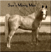 Sun's Merry Man, one of the few offspring of the great show horse, Hill's Perfection