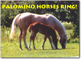 Palomino & Other Dilute Horses Ring